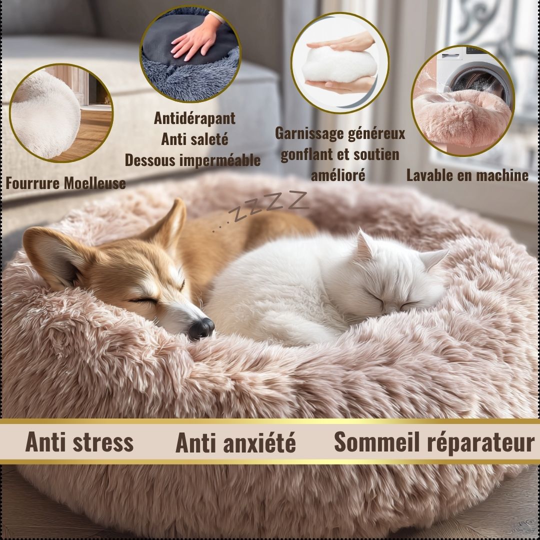 Avantage des paniers Nanou pet