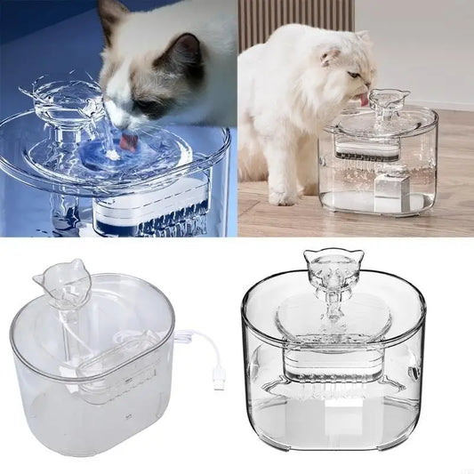 Transparent Pet Drinking Water Dispenser Bowl Cats Water Fountain Filter Drinker